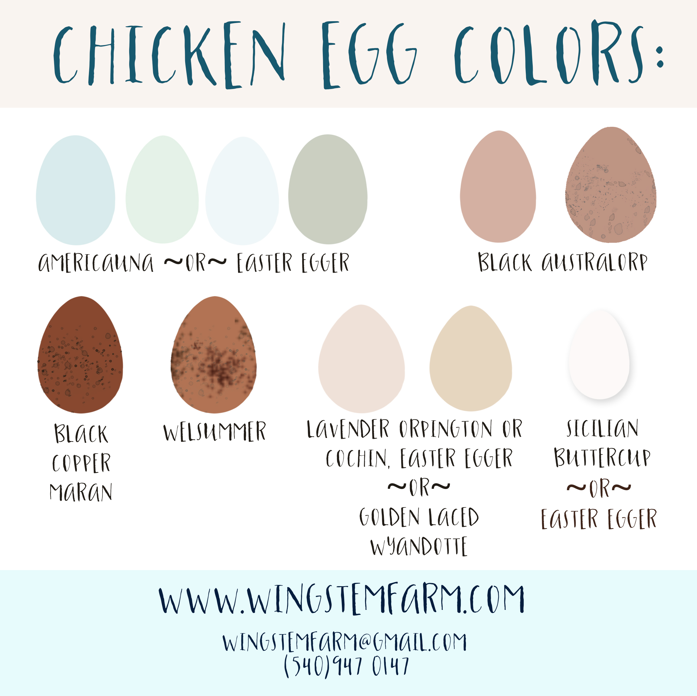 egg colors