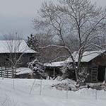 sheds in snow