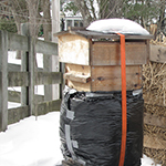 winter hive