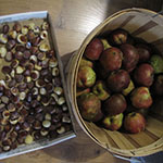 chestnuts and apples