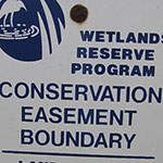 wetland in conservation easement